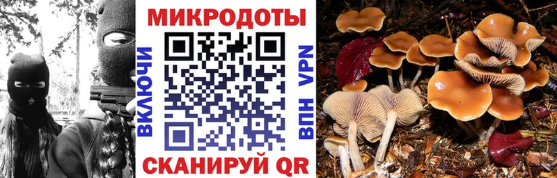 Галлюциногенные грибы MAGIC MUSHROOMS  Лаишево 